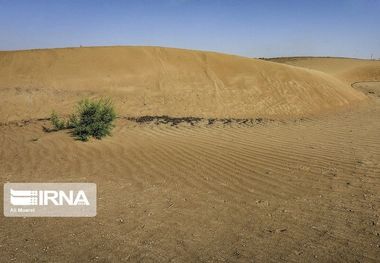 فرماندار: ۶ طرح بیابان زدایی دلگان آماده افتتاح و کلنگ‌زنی است