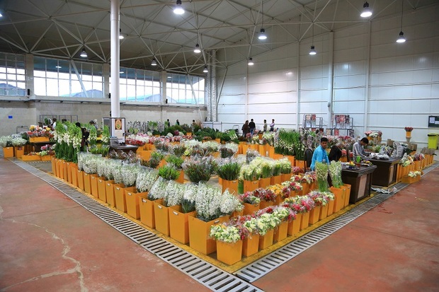 خمینی شهر بزرگترین تولید کننده گل در استان اصفهان است