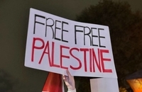 تظاهرات طرفداران فلسطین در ترکیه در همبستگی با ناوگان جهانی الصمود (9)