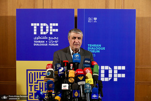 نشست های اجلاس بین المللی تحت تهاجم ؛ تجاوز و دفاع