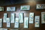 دستگیری فروشندگان دلار‌های جعلی در شمال تهران
