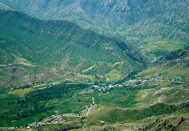 راز تاریخ و سحر طبیعت کلم پنهان در پس پرده نداشته ها