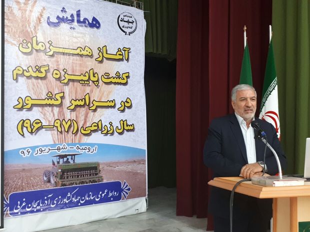 کشت ۸هزار دانه روغنی کلزا در آذربایجان غربی