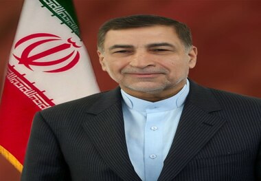 برخی فکر می کنند با تخریب دولت آنها می مانند