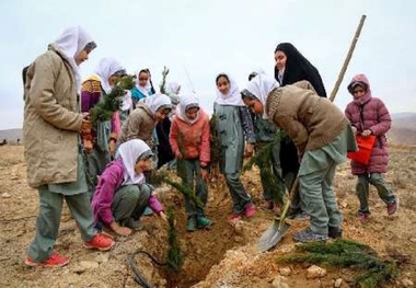 طرح هر دانش آموز یک نهال در کهگیلویه وبویراحمد اجرا می شود