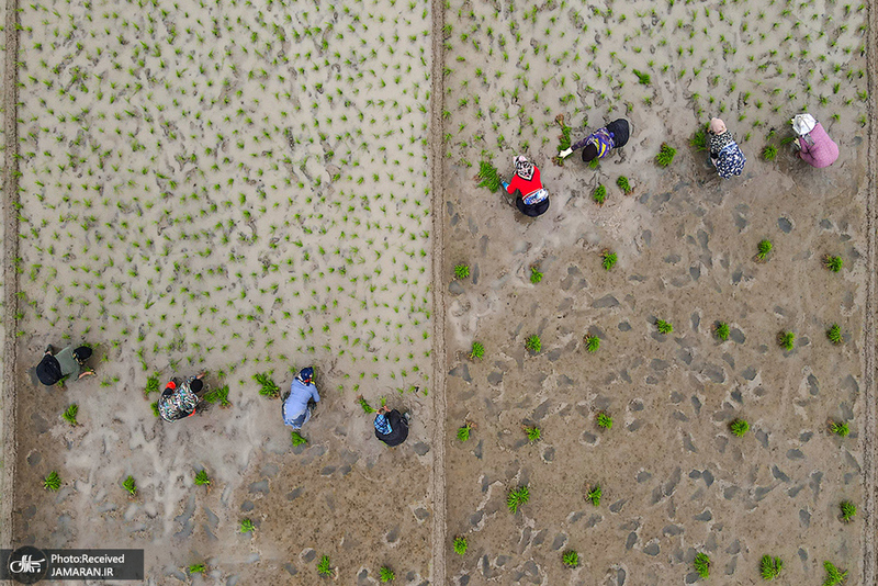 منتخب تصاویر امروز جهان- 31 اردیبهشت 1400