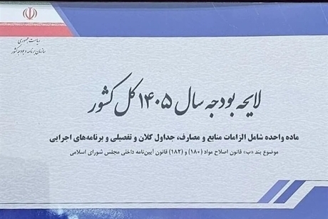 سام‌دلیری، پژوهشگر اتاق ایران: سیاست‌های بودجه‌ای فشار بر صنایع کوچک را افزایش داده است| حمایت ناکافی از صنایع کوچک و متوسط تبعات اجتماعی دارد