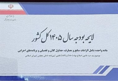 بررسی و رأی‌گیری کلیات لایحه بودجه ۱۴۰۵ به تعویق افتاد