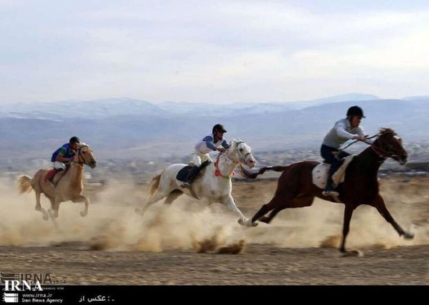 راه‌اندازی پیست سوارکاری در کرمانشاه به ۱۰۰ میلیارد ریال اعتبار نیاز دارد