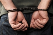 32 سارق حرفه ای در استان بوشهر دستگیر شدند