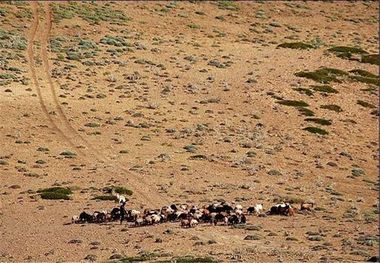 ۲۳۰ میلیارد ریال از صندوق توسعه ملی به منابع طبیعی زنجان تخصیص یافت