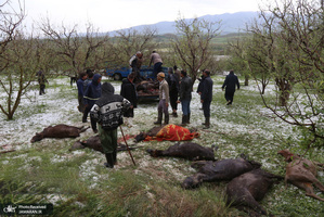 منتخب تصاویر امروز جهان- 3 خرداد 1400