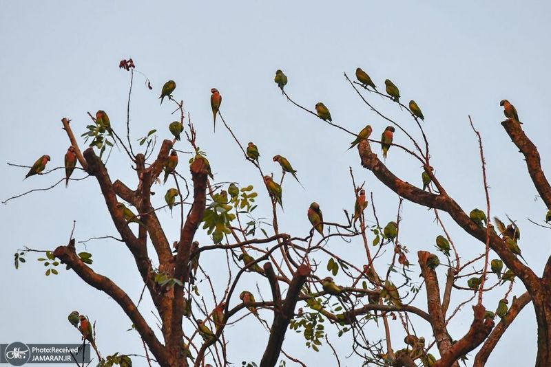 گزیده روزنامه های 10 خرداد 1400