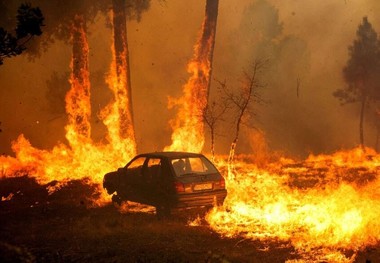 قاره سبز همچنان در آتش می سوزد