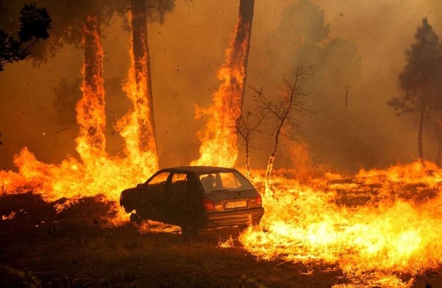 قاره سبز همچنان در آتش می سوزد