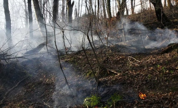 آتش سوزی جنگل های رودبار تحت کنترل است