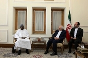 دیدار نایب رئیس مجلس نیجر با ظریف