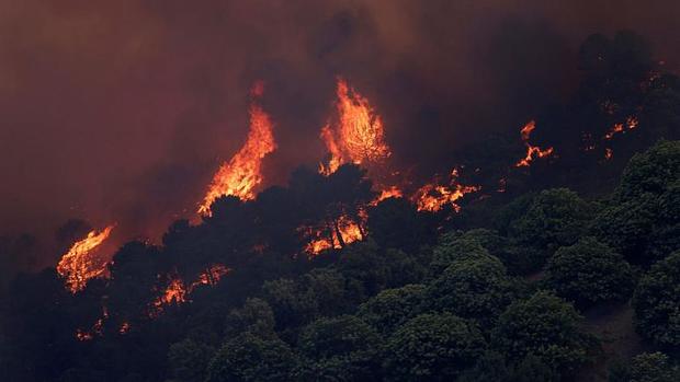 موج گرمای زودرس در اروپا و وقوع آتش سوزی ها