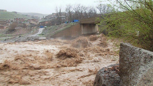 سیلاب و تگرگ 260 میلیارد ریال به بخش کشاورزی دلفان خسارت زد