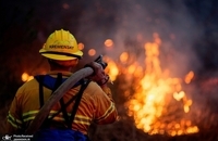 آتش سوزی کالیفرنیا