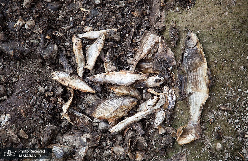 منتخب تصاویر امروز جهان- 28 تیر 1400