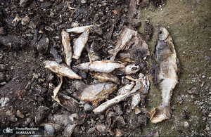 منتخب تصاویر امروز جهان- 28 تیر 1400