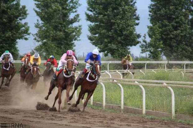 49راس اسب در هفته چهارم کورس بندرترکمن مسابقه دادند