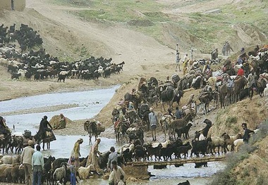 3000 کیلومتر جاده عشایری کهگیلویه و بویراحمد بازگشایی شد