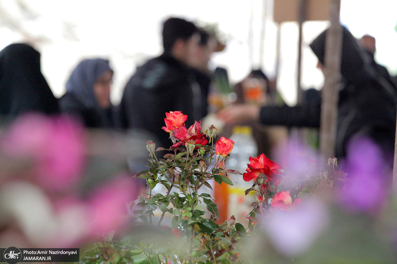 جشنواره گل و گیاه در حریم منطقه 22 