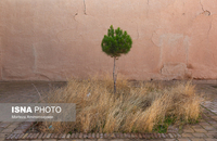 منزل استاد کمال الملک (24)