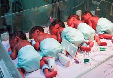 خانوارهای چند قلو در قزوین از خدمات بهزیستی بهره مند شدند