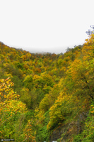 آبشار لونک دیلمان