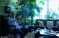 بهزاد نبوی