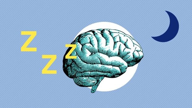 ورزش‌های مخصوص مغز کدامند؟