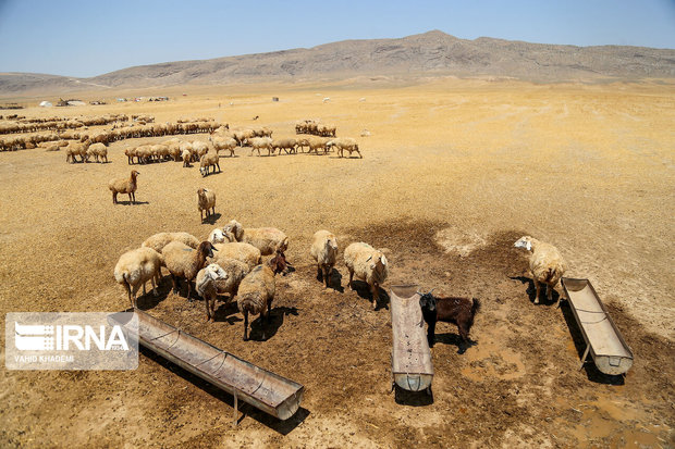 ۱۱ طرح آب‌رسانی مناطق عشایری کهگیلویه و بویراحمد تأمین اعتبار شد