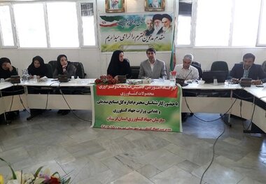 توانمندی شهرستان دورود در تولید محصولات زراعی و باغی برند سازی شود