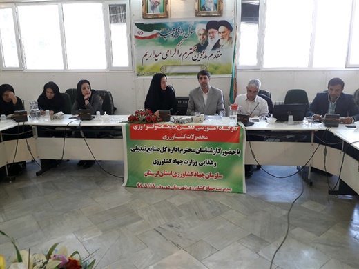 توانمندی شهرستان دورود در تولید محصولات زراعی و باغی برند سازی شود