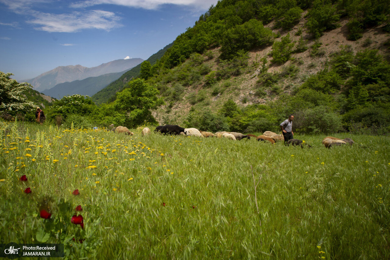 منتخب تصاویر امروز جهان- 1 خرداد  1400