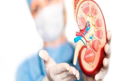 این پروتئین‌ها از پیشرفت بیماری کلیه دیابتی جلوگیری می‌کنند
