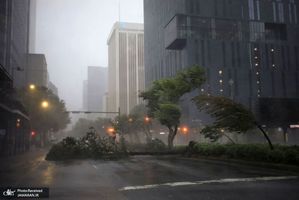 منتخب تصاویر امروز جهان- 8 شهریور 1400