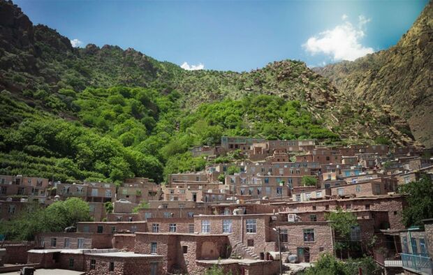 25 درصد گونه های گیاهی کشور در کردستان وجود دارد