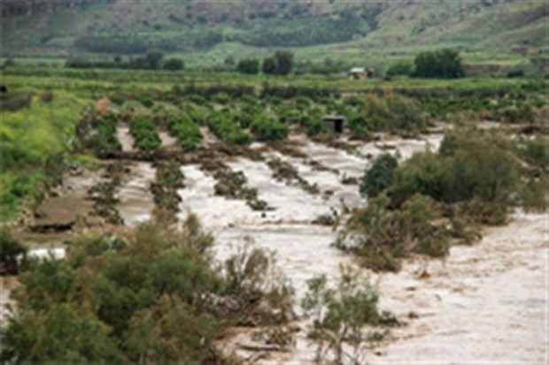 سیلاب 470 میلیارد ریال به بخش کشاورزی زرند خسارت وارد کرد