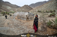 زندگی سخت ساکنان غریب آباد سیستان و بلوچستان (10)