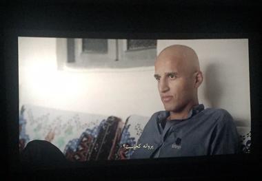 کاخ جشنواره فیلم فجر ۳۷ آغاز به کار کرد

