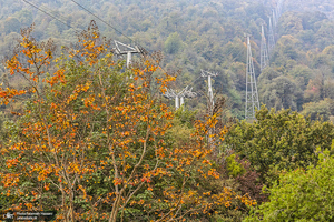 نمک‌آبرود / نمک آبرود