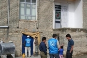 طرح آمارگیری در 24 روستای تنگستان اجرا می شود