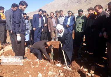 بیش از ۷ هزار اصله نهال در شهرستان روانسر کاشت می‌شود