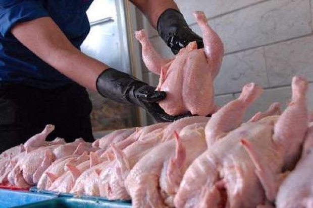 توزیع مرغ منجمد برای تنظیم بازار آستارا آغاز شد
