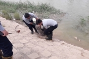 پیرمرد 70 ساله در رودخانه بهمنشیر آبادان غرق شد