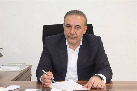 ۷  هزار هکتار از باغات گردوی لرستان در مرحله بهره برداری و تولید هستند